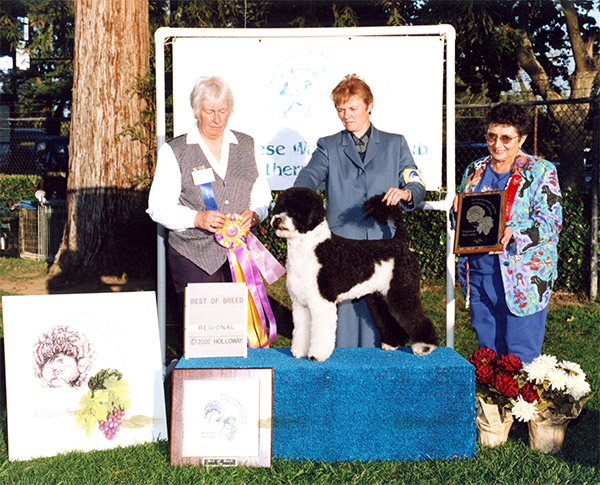 Best of Breed 2002