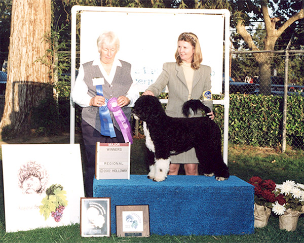 Winners Bitch 2002