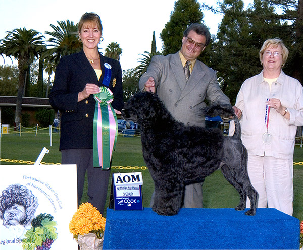 Award of Merit 2004
