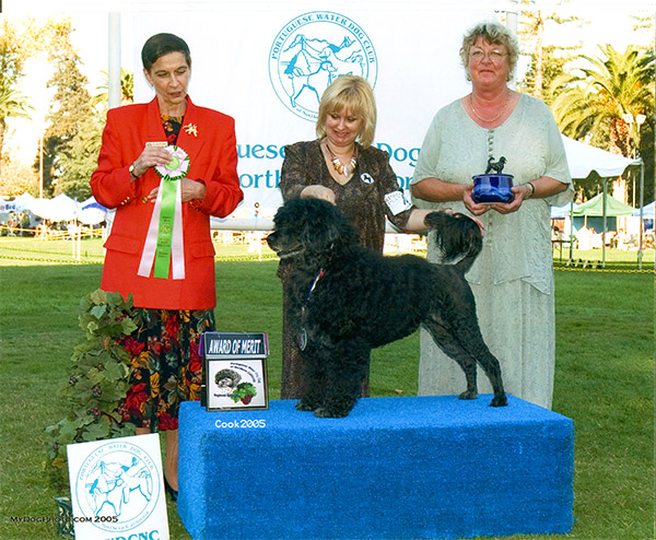 Awatd of merit 2005