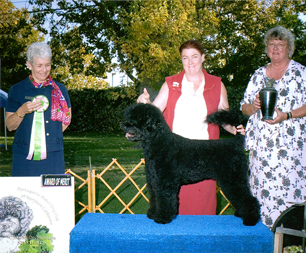 Award of Merit 2006