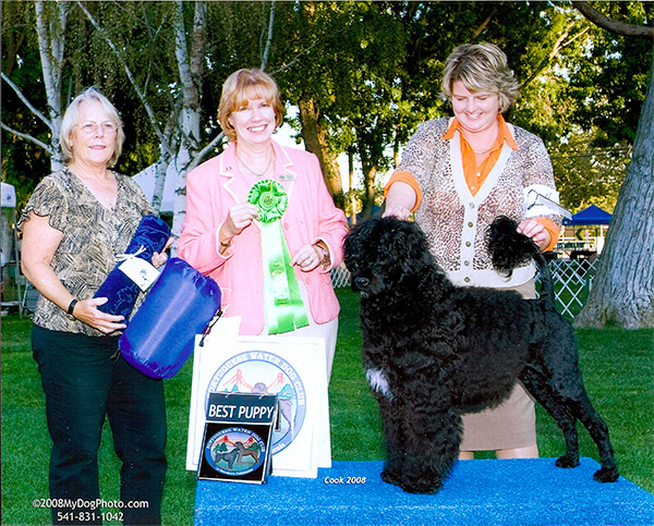 Best Puppy 2008