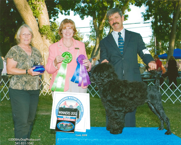 Winners Dog 2008