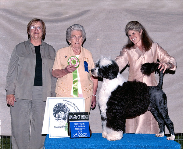 Award of Merit 2009