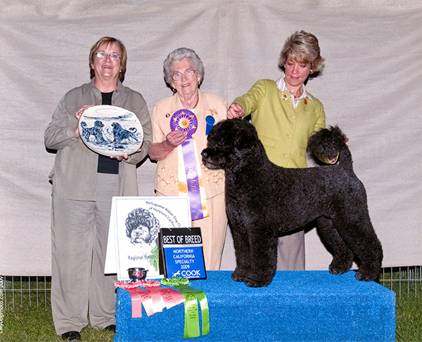 Best of Breed 2009