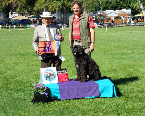 High in Trial 2011