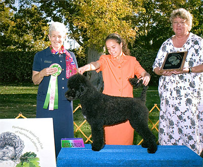 2006 Junior Showmanship