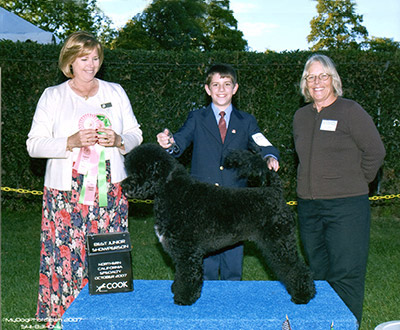 2007 Best Junior Handler