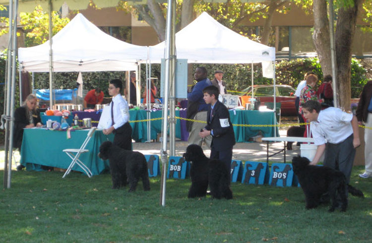 Junior Showmanship Ring 2007