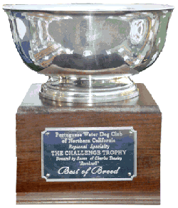 Challenge Trophy